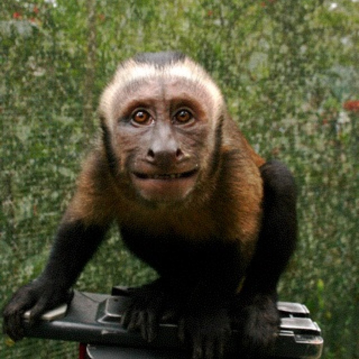 simonjollysound's profile picture. Sound Recordist for Film and Television