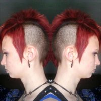 Shawnette Warner (@shawnettewarner) 's Twitter Profile