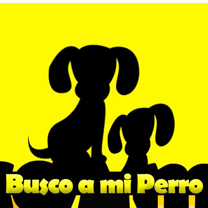 #BuscoAmiPerro Santiago - Chile