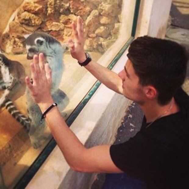 paulosfdgry's profile picture. 