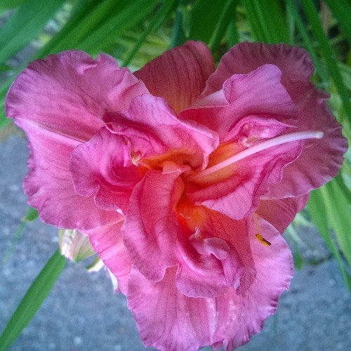 Yobitchreally's profile picture. 