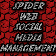 Spider Web SMM is a social media marketing/management co. specializing in designing, building and managing social media 4 you to build your biz!