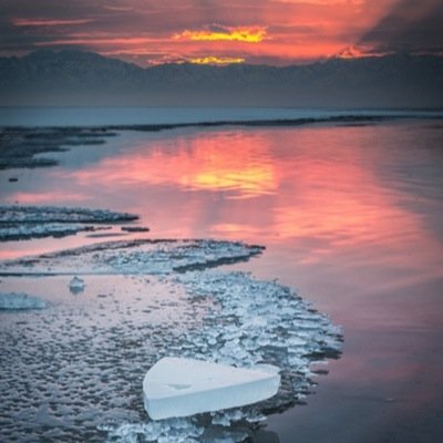 hillym45's profile picture. Love love photography ! , 26 year old photographer and tattoo beauty queen . Born and raised in boston :)