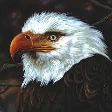 a_stupid_hawk's profile picture. creepypasta lover and meme lover