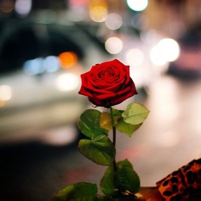 omymy1122's profile picture. حالتي في التويتر- انفضلك ؟ فولو ريتويت .