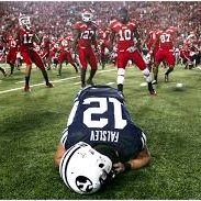 UteNation1's profile picture. 