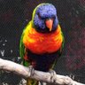 TMLTrader's profile picture. Growth Stock Investor. Focused on finding & trading True Market Leaders. Lead PM https://t.co/xOknKiZTl0 TML Model Portfolio.