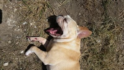 joshrem271's profile picture. 