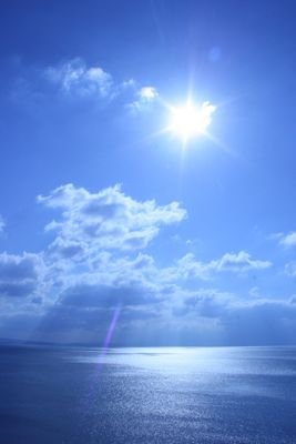 pnp0pN's profile picture. 