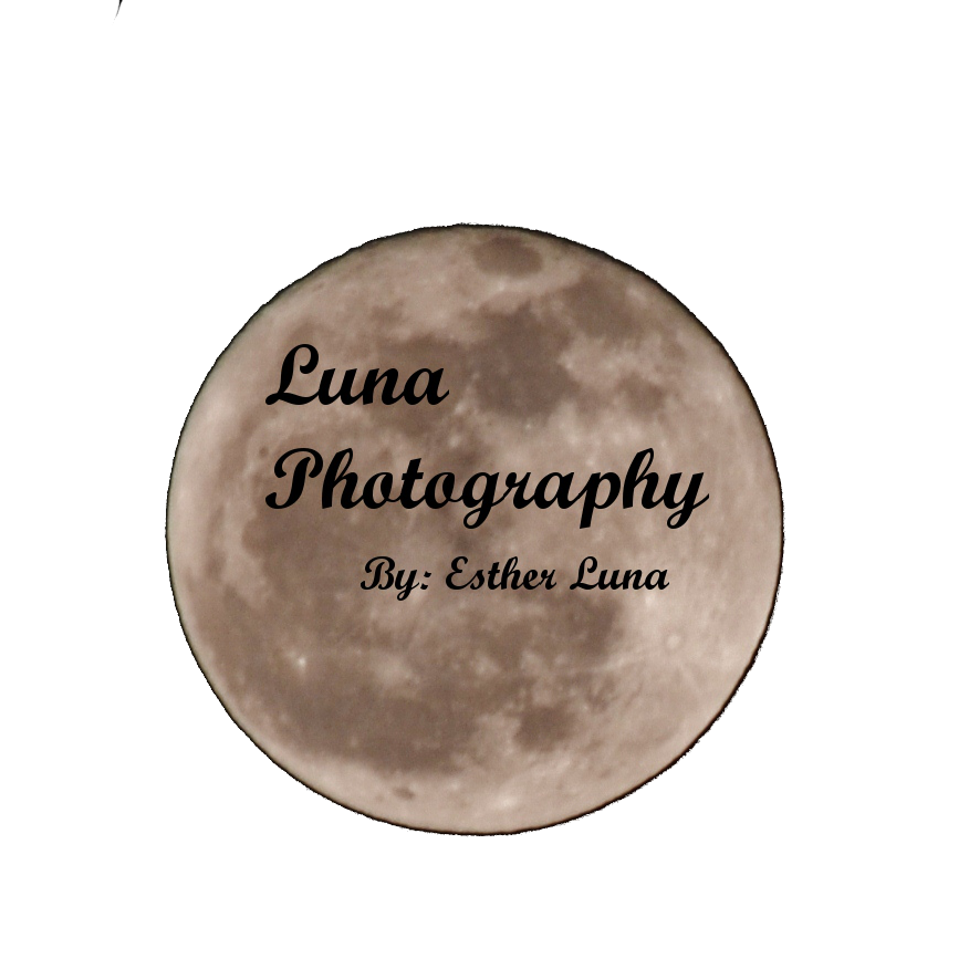 Luna Photography