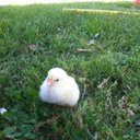 Luke Lightner - @LightnerLuke - Twitter