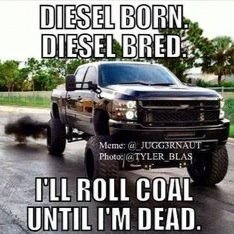 alensowder's profile picture. 