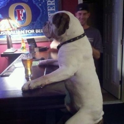 bigchiefhawk10's profile picture. GO BLACKHAWKS