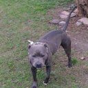 Anthony Pernell - @80c5673997c446a - Twitter