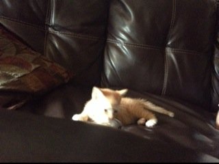 carlit1988's profile picture. 