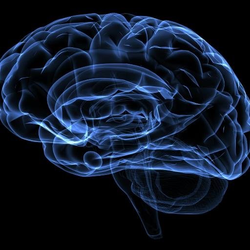 Equilibrium Health Psychology Practice