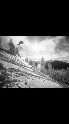 pipapo14's profile picture. 