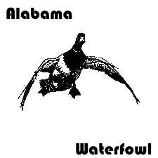 Just two good ole boys from Alabama trying to make it big in the waterfowl industry. Give us a follow, we will be doing giveaways.