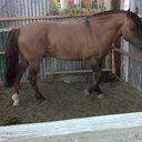 jorge luis orellano - @luis_orellano - Twitter