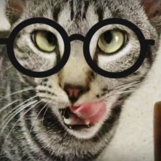 Sou louca por ele @Kit_Nelson 
s2s2