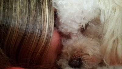 lulorenzo27's profile picture. 