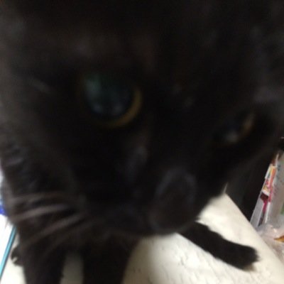 1011iRen's profile picture. FB💯 💯 💯FB💯 💯 💯FB💯 💯 💯