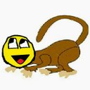 Alex Shirley - @Alex2461Alex - Twitter