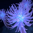 anthony paul rush - @thescientistwho - Twitter