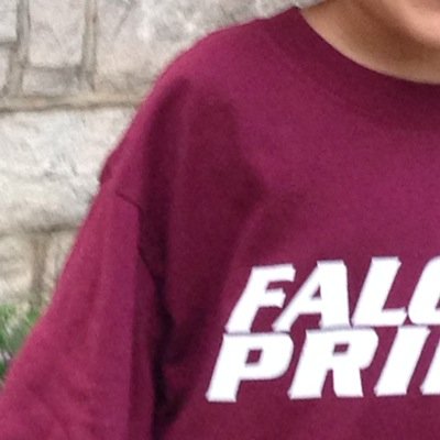 Falcons Against Destructive Decisions
  #Fulton chapter of #SADDnational
Join the FADD at Fulton. Lead the Way.