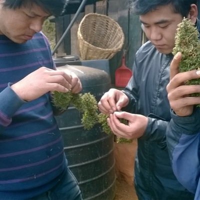 nawohb's profile picture. 