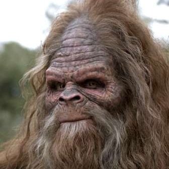 SQUATCH IS OUT THERE AND I WILL FIND HIM
