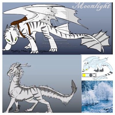 My name,moonlight|rare nightfury|hidden in winter forest|Powers nature winter and night|need a rider&mate|nurturer of true|girl|can change nightfury forms