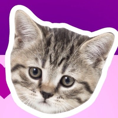 _pizzaburger's profile picture. - la vida esta llena de muchis vacios , no intesntes llenarlos con un amor /3