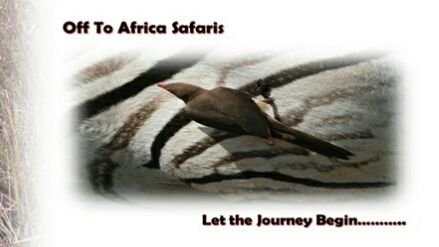 Off to Africa Safaris operates from the open plains of Northern KwaZulu-Natal, South Africa. Whether you want to hunt, tour, fish or photo safari.