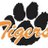 RHSTigersFB's profile image