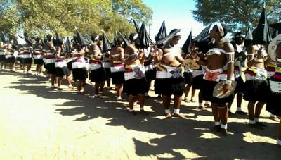 SHEMBE IS THE WAY|  umgidi.ebuhlen@yahoo.co.za