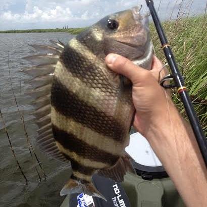 Neptune's Navy Kayak Fishing - Join The Fleet! Launching Soon!