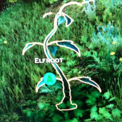 ElfiestRoot Profile Picture