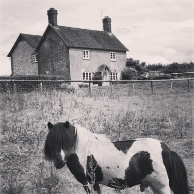 Pop Up Restaurants, Wine Events, Clay Pigeon Shoots, Wine, Flowers, Furniture