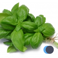 albahacacreativ's profile picture. Creatividad en marketing: ideas, SM, curiosidades, tecnología, y el clásico etc. #MarketerosNocturnos