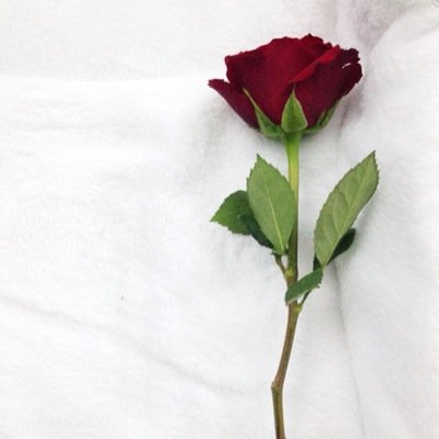 وكُن شخصاً إذا أتوا بعده يقولونَ مرَّ وهذا الأثر ! *. | للمقتبس (*)