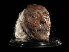 This is the official twitter account of Jeremy Bentham's taxidermied penis.