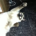 cameron luther - @Camel2444 - Twitter