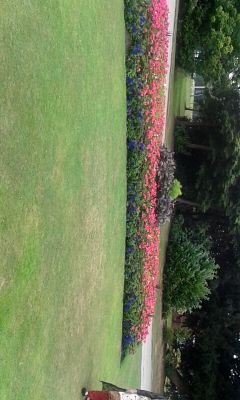 Kirran98's profile picture. Everybody makes mistakes you just got to learn to forgive and forget