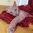 TheBarryCat's profile image
