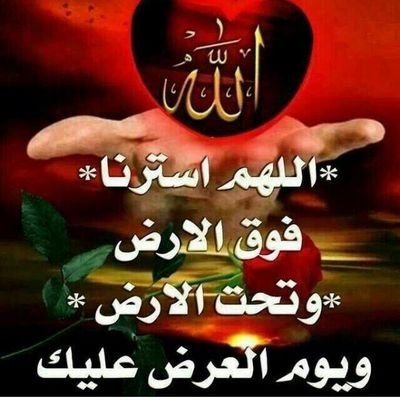 gfckbv's profile picture. ‏‏مرحبا