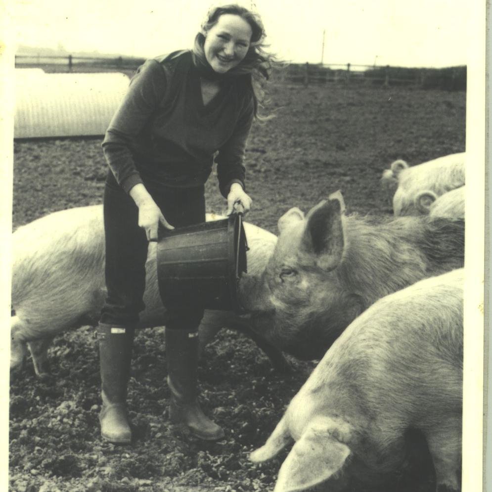 Pioneering, Award Winning, Heal Farm Fine Food. Large enough to deliver, small enough to care. Call 01769 574341