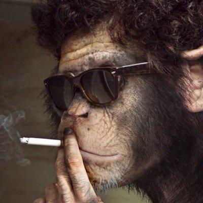 RGuertener's profile picture. Philantrope a ses heures perdu,schizo la nuit, marchand de chausette le jour ....