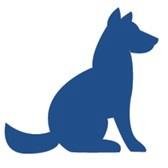 Dog Theft Action is a registered charity 1115706 - which provides information to the public about dog theft.