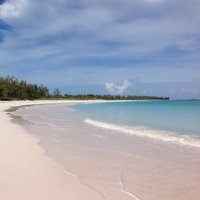 Robin Moorefield (@moorefieldrobin) 's Twitter Profile